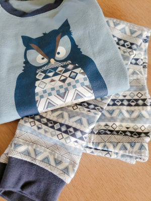 Scandi Penguin & Owl Long Sleeve Pajama (Blue/Pink)