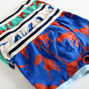 Tyranno Boys Boxers 3pack - Go PJ Party