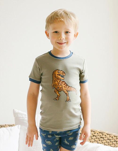 Wild Dino Short Sleeve Pajamas