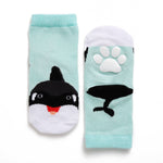 Orca Zoo Socks