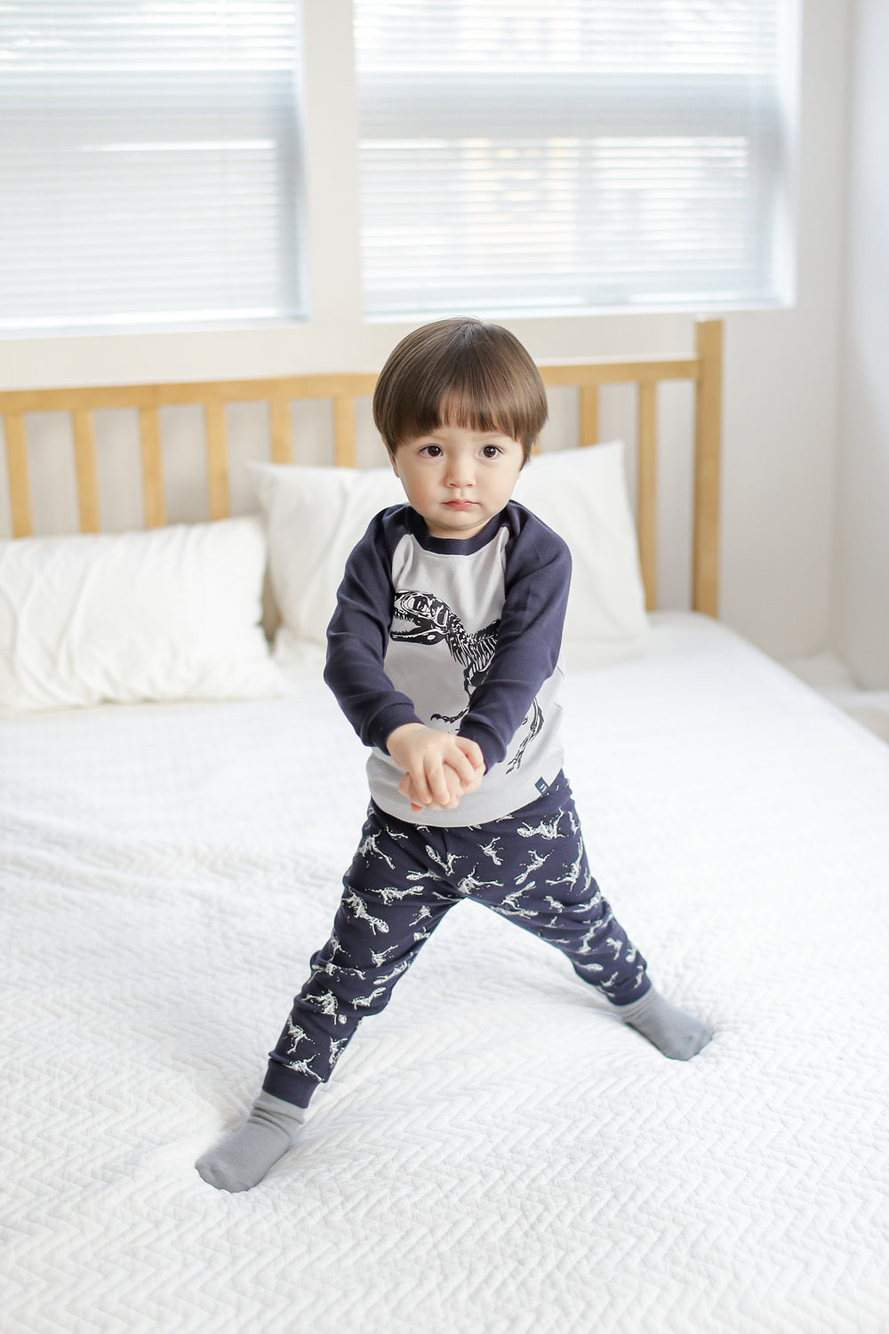 Dinosaur Navy Long Sleeve Pajamas - Go PJ Party