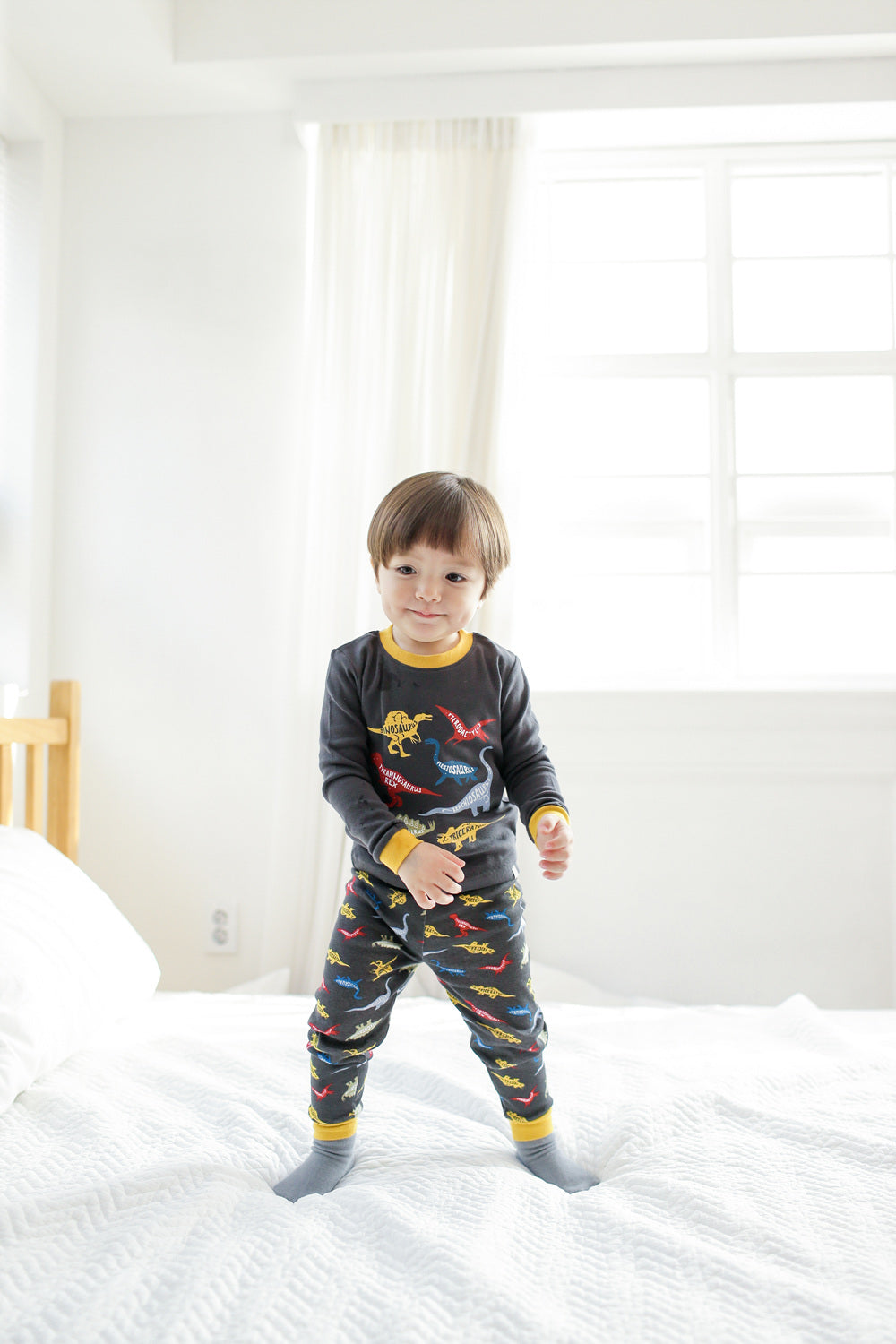 Dinosaur Charcoal Long Sleeve Pajamas - Go PJ Party