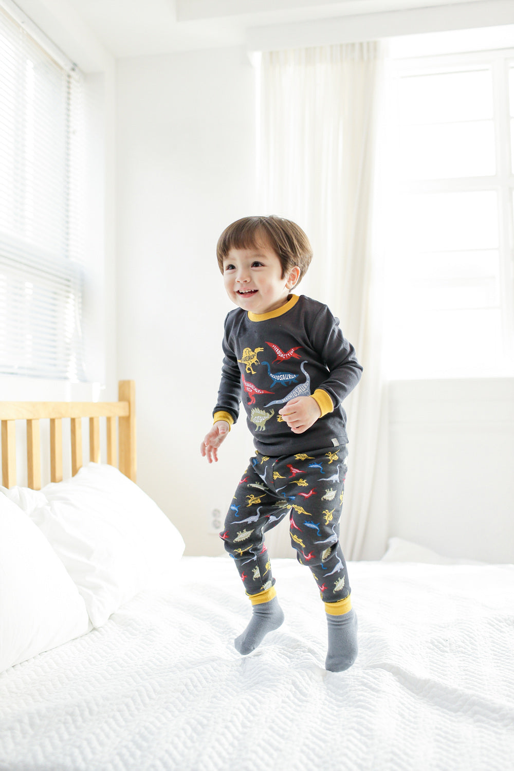 Dinosaur Charcoal Long Sleeve Pajamas - Go PJ Party