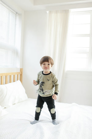 Dinosaur Khaki Long Sleeve Pajamas - Go PJ Party