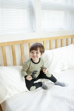 Dinosaur Khaki Long Sleeve Pajamas - Go PJ Party