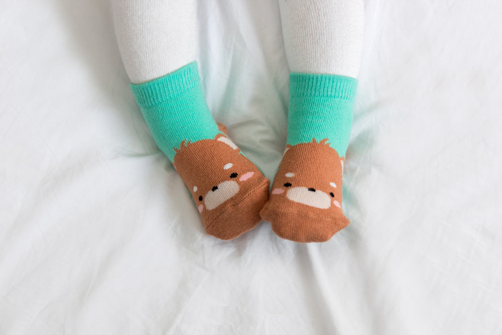 Bear Zoo Socks - Go PJ Party