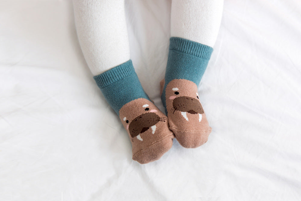 Sea Lion Zoo Socks - Go PJ Party