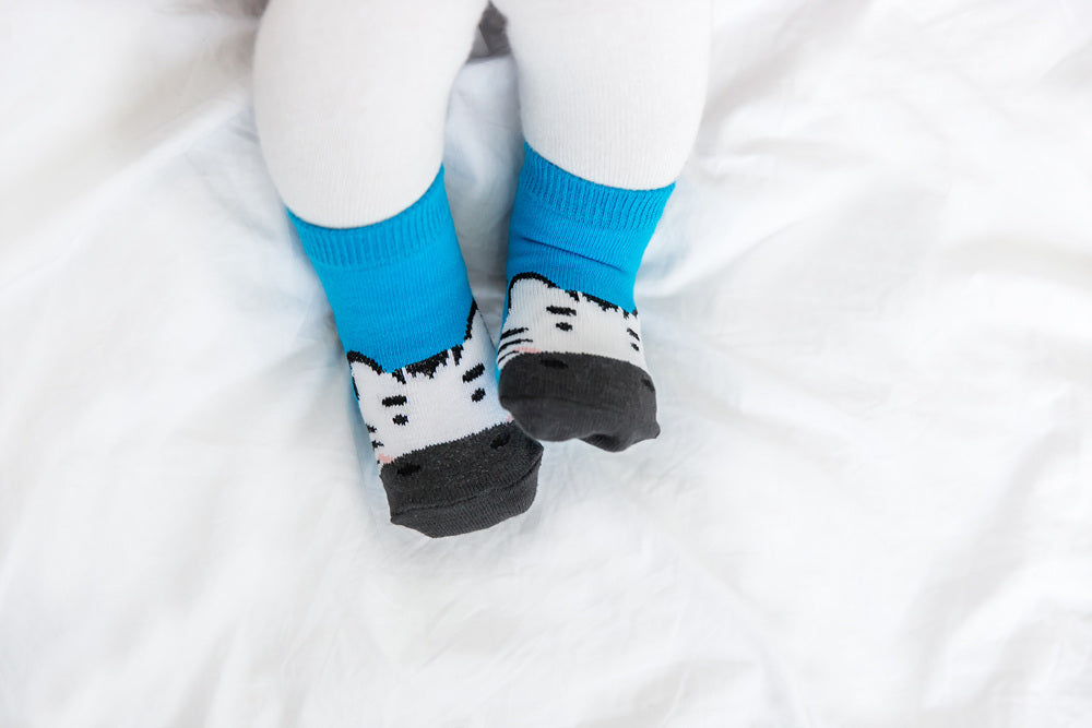 Zebra Zoo Socks - Go PJ Party