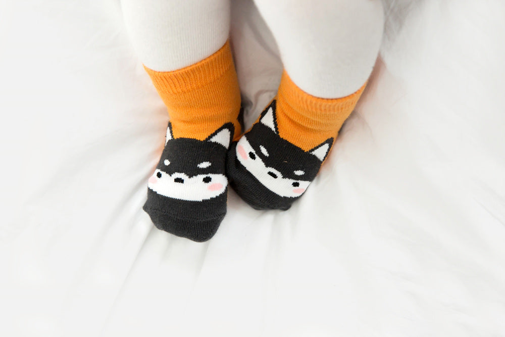 Husky Zoo Socks - Go PJ Party