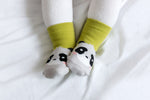 Panda Zoo Socks - Go PJ Party