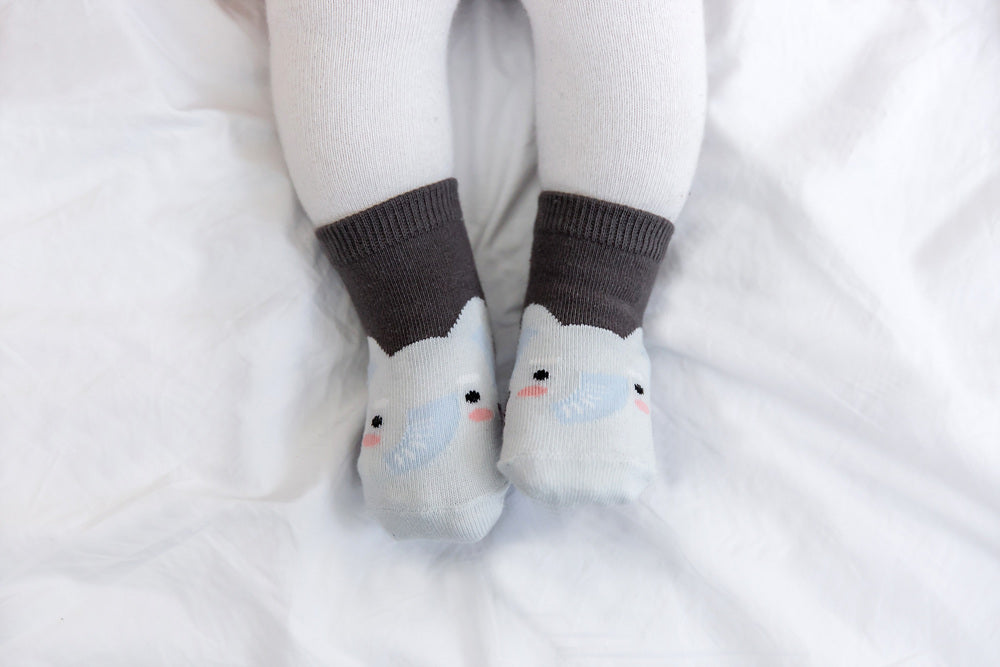 Elephant Zoo Socks - Go PJ Party