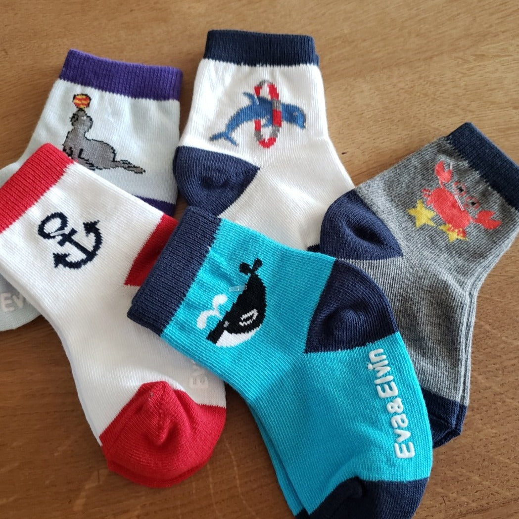 Ocean Socks Set (5 Pack)