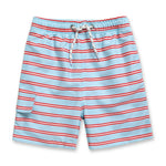 Colorful Stripe Swim Trunk